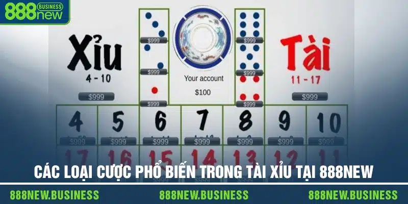 Các loại cược phổ biến trong tài xỉu tại 888new
