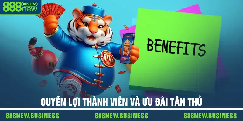 Khám phá quyền lợi thành viên và ưu đãi tân thủ